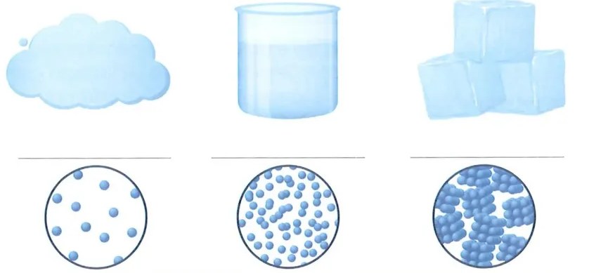 Figura 2 de Ciencias Naturales · 2 EGB · 2025
