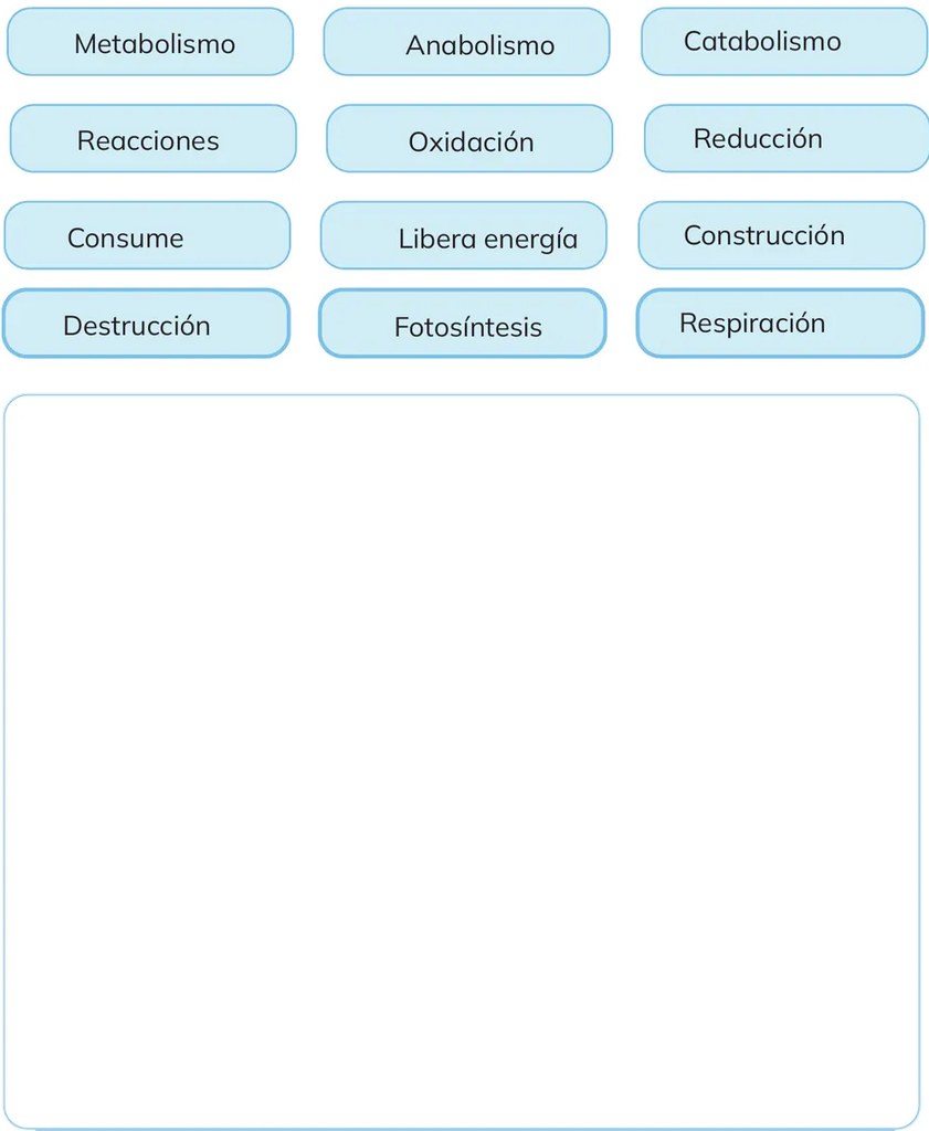 Recuadro grande vacío para el mapa conceptual del estudiante.