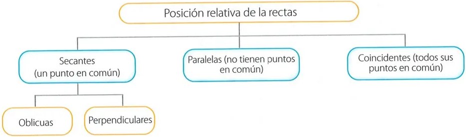 Figura 8 de Matematica · 7 EGB · 2024