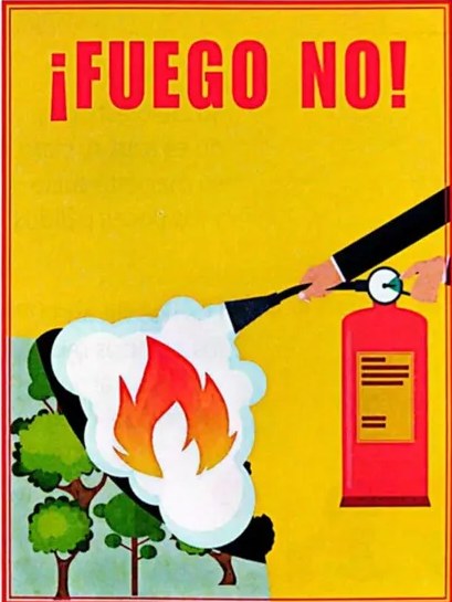 Figura 2 de Ciencias Naturales · 4 EGB · 2025