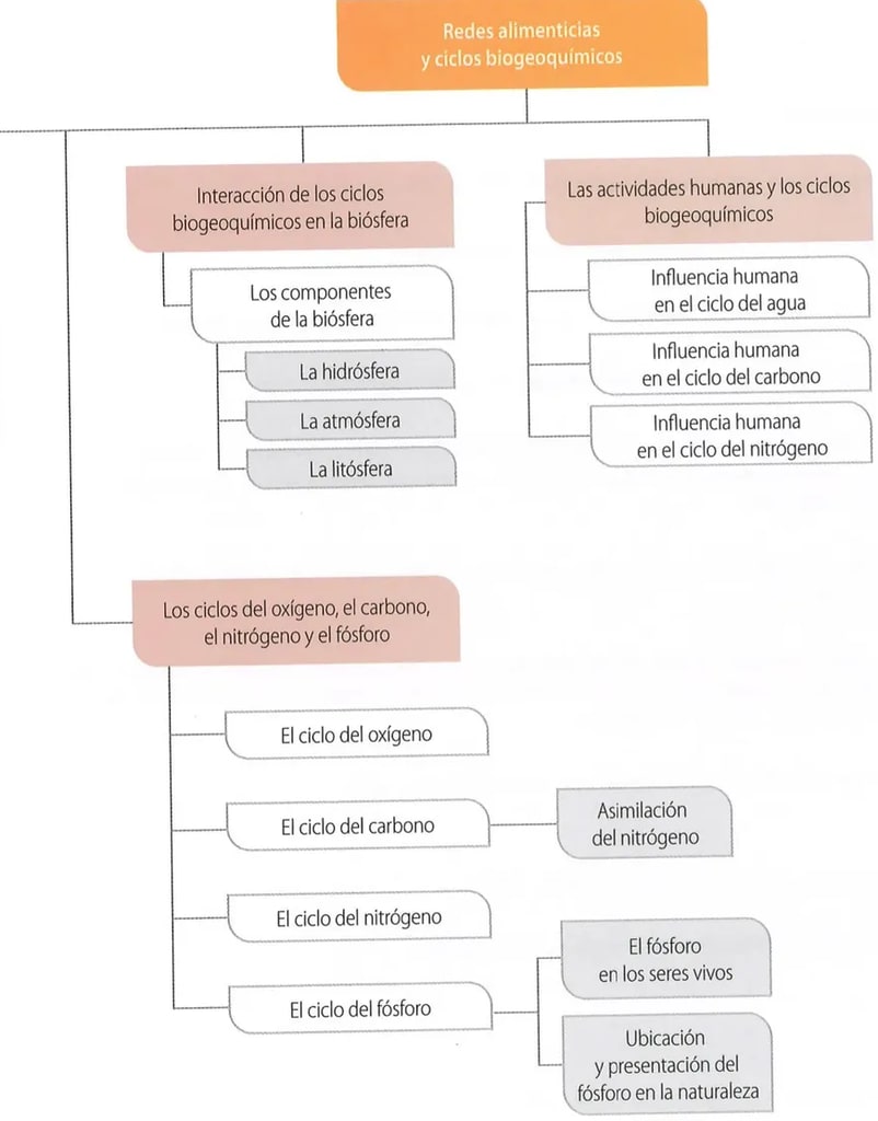 Figura 1 de Ciencias Naturales · 8 EGB · 2025