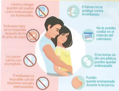 Figura 2 de Ciencias Naturales · 8 EGB · 2025