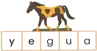 Figura 3 de Lengua Y Literatura · 2 EGB · 2025