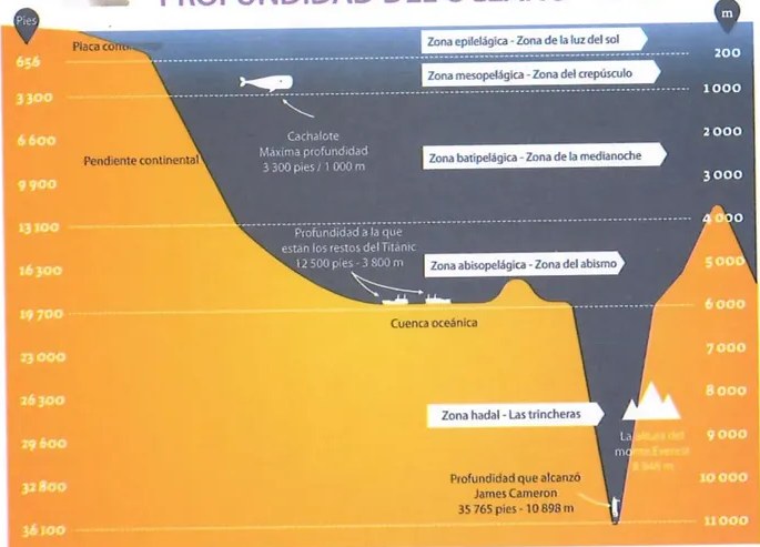 Figura 3 de Matematica · 8 EGB · 2025