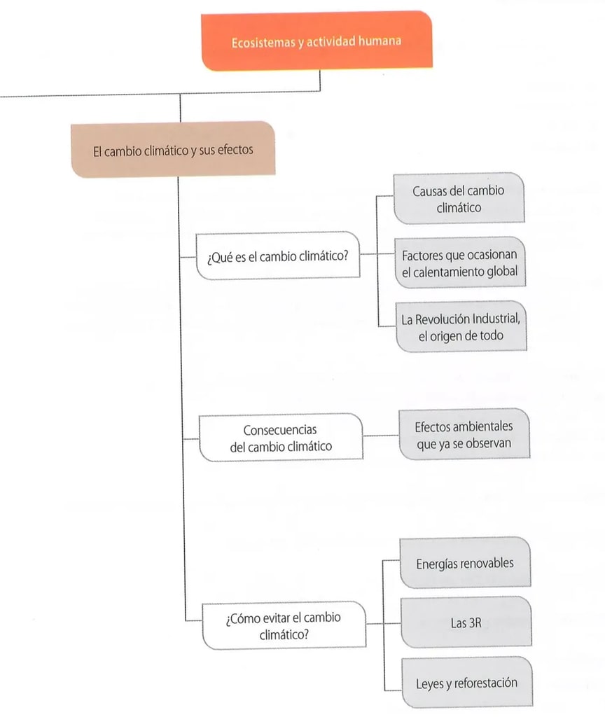 Figura 1 de Ciencias Naturales · 8 EGB · 2025