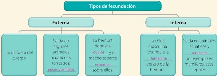 Figura 2 de Ciencias Naturales · 6 EGB · 2025