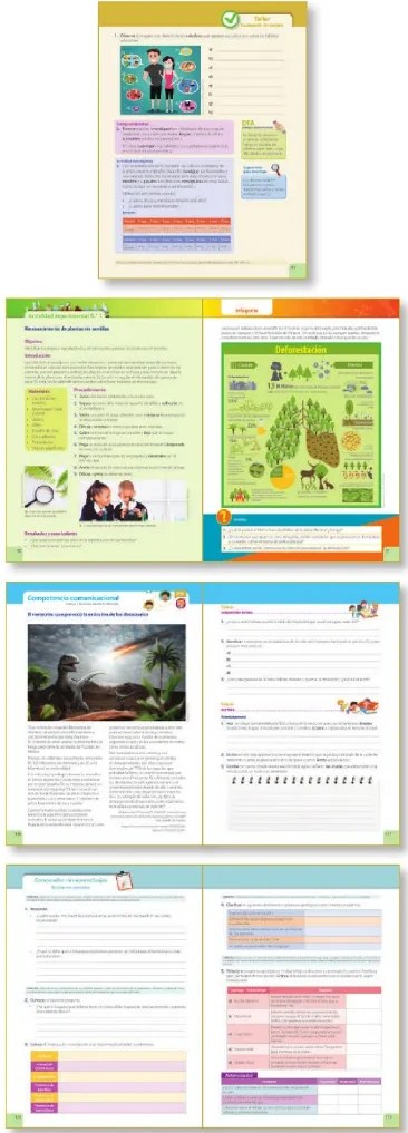 Miniaturas de páginas de actividad experimental e infografía sobre deforestación.