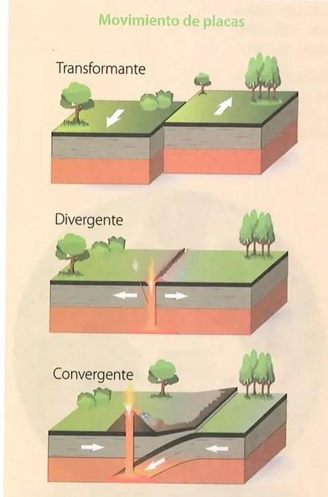 Fotografía de un bosque nublado andino con vegetación densa