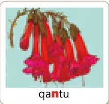 Fotografía de un camino andino serpenteante entre cerros (ñan), ilustrando la consonante <ñ> con la palabra 'ñan' resaltada.