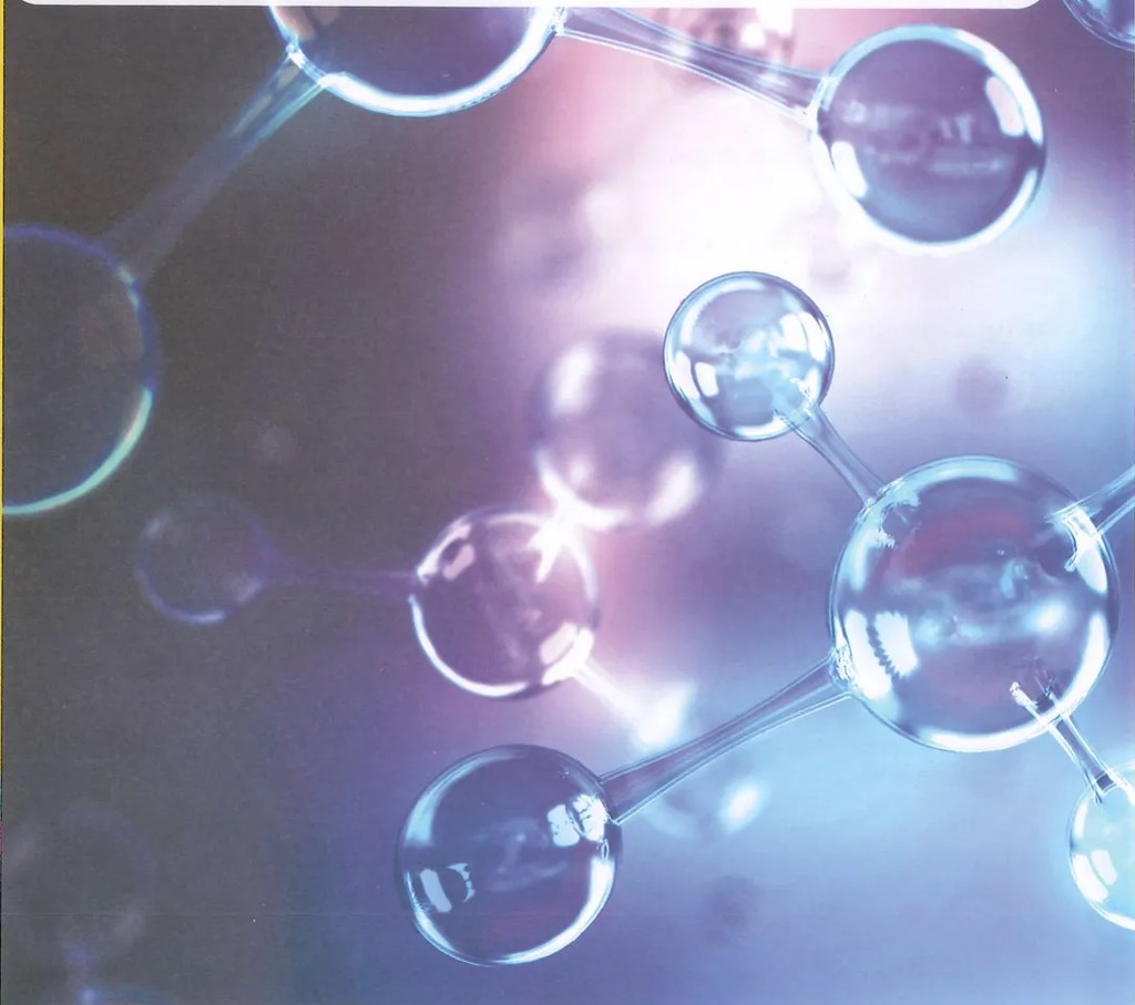 Figura 2 de Ciencias Naturales · 9 EGB · 2024