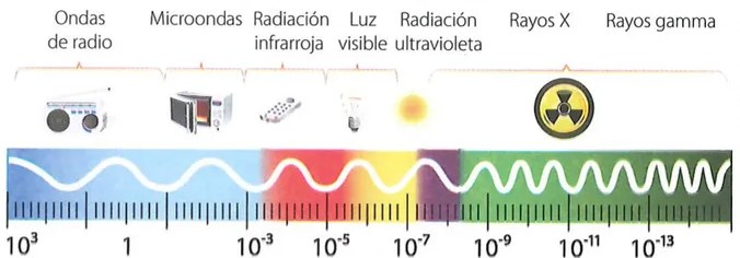Figura 2 de Ciencias Naturales · 7 EGB · 2024
