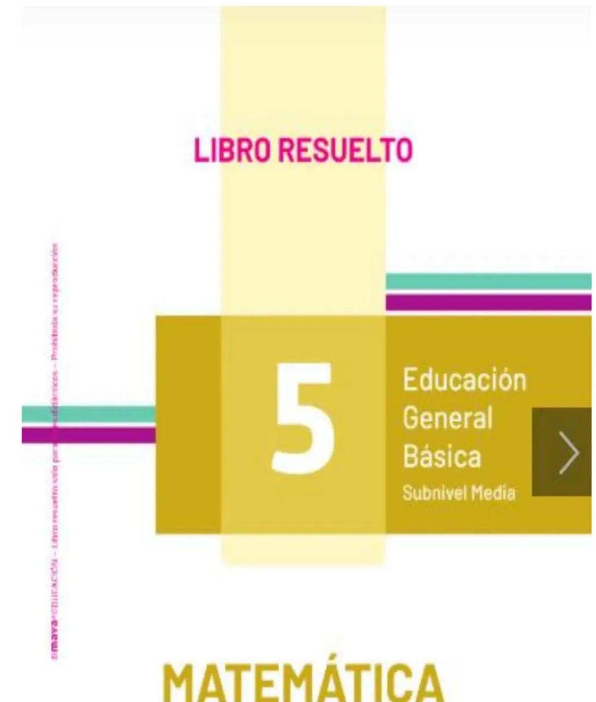 Figura 1 de Matematica · 5 EGB · 2025