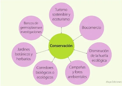 Figura 4 de Estudios Sociales · 6 EGB · 2025