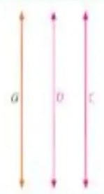 Figura 3 de Matematica · 5 EGB · 2025