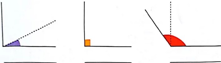 Figura 3 de Matematica · 4 EGB · 2024