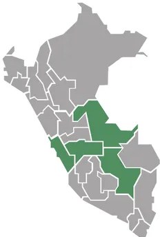 Figura 2 de Lenguas originarias del Perú · 2018