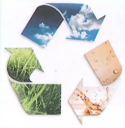 Figura 3 de Ciencias Naturales · 8 EGB · 2025