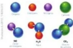 Silueta humana con porcentaje de elementos químicos (65% oxígeno).