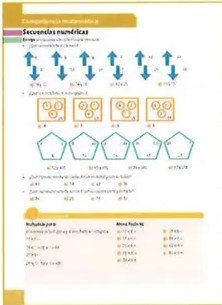 Figura 2 de Matematica · 8 EGB · 2025