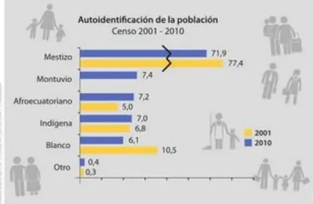Gráfico de barras 'Autoidentificación de la población - Censo 2001-2010'.