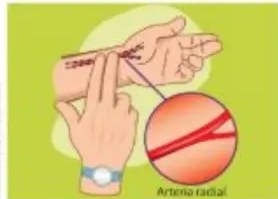 Figura 4 de Ciencias Naturales · 5 EGB · 2024