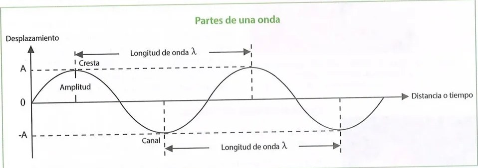 Figura 3 de Ciencias Naturales · 10 EGB · 2024