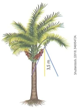 Figura 1 de Matematica · 8 EGB · 2025