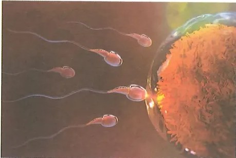 Figura 2 de Ciencias Naturales · 8 EGB · 2025