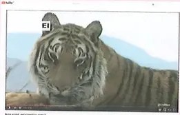 Figura 2 de Ciencias Naturales · 8 EGB · 2025