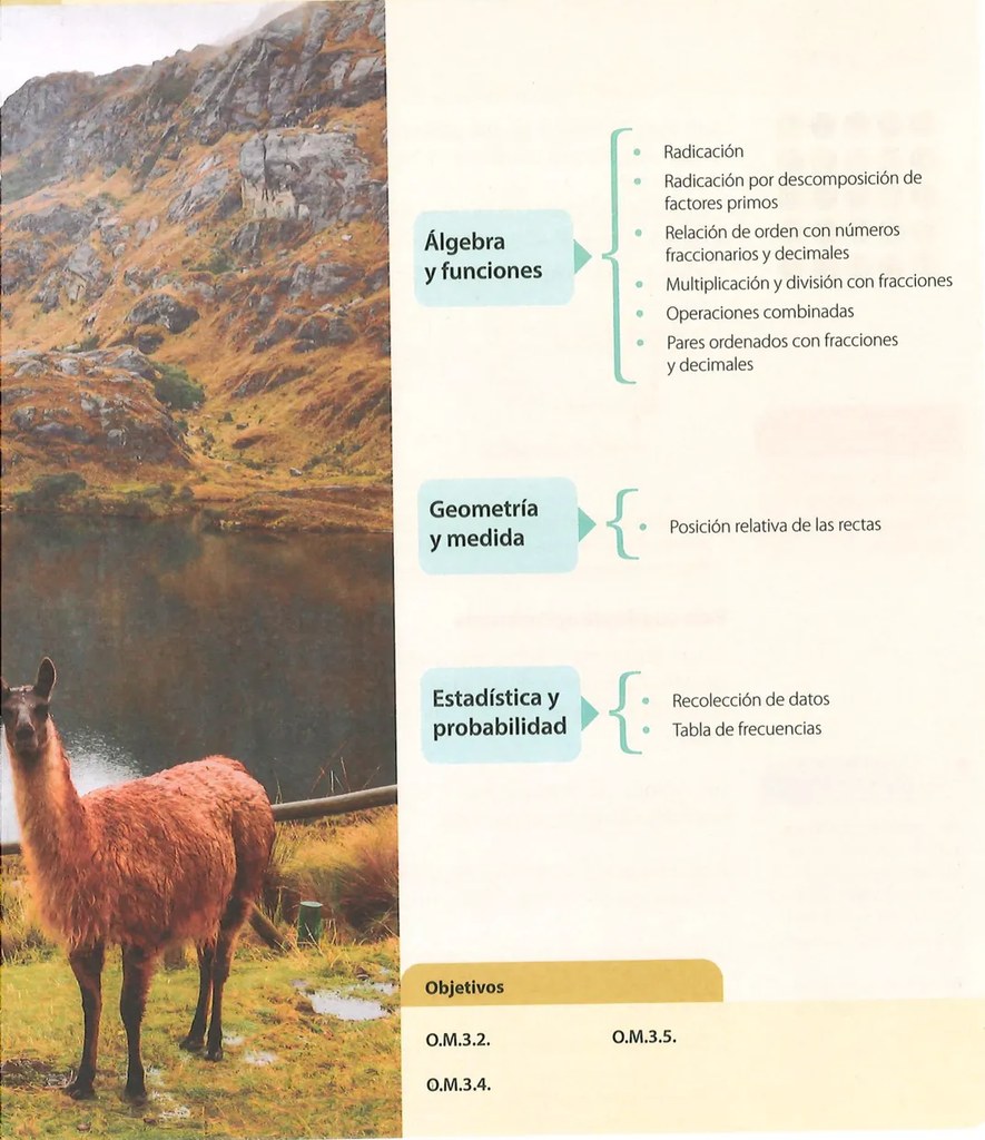 Figura 2 de Matematica · 7 EGB · 2024