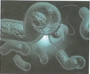 Figura 3 de Ciencias Naturales · 8 EGB · 2025