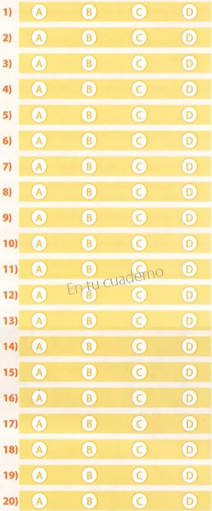 Figura 4 de Matematica · 10 EGB · 2025