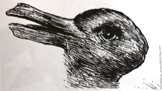 Imagen ambigua que muestra distintos animales según se interprete.