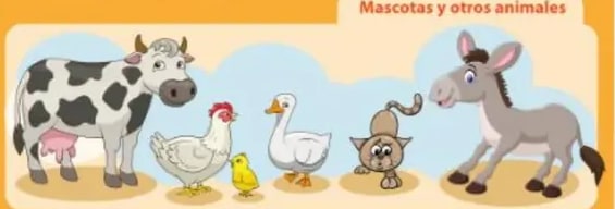 Cartel anaranjado con animales de granja y mascotas.
