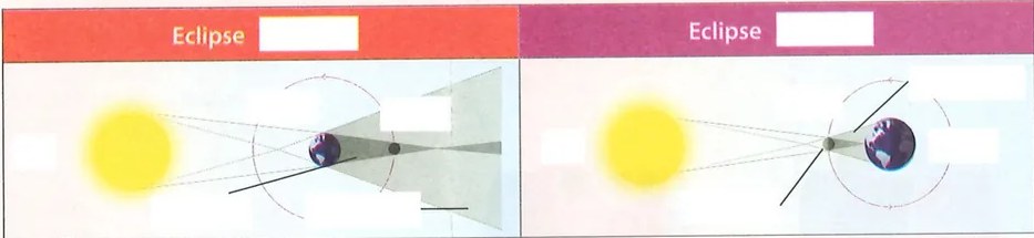 Figura 3 de Ciencias Naturales · 7 EGB · 2024