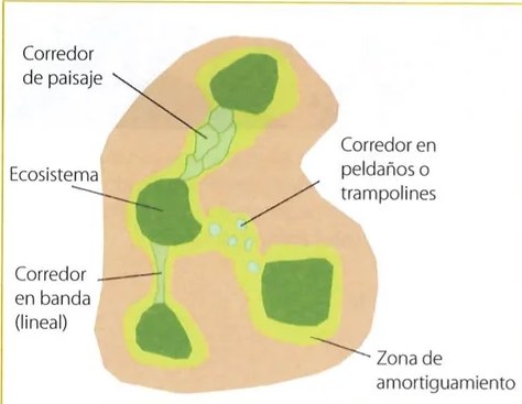 Figura 3 de Ciencias Naturales · 7 EGB · 2024