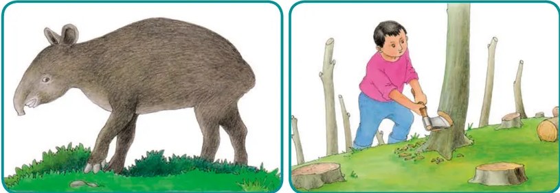 Ilustración de un niño o joven con ropa rosada talando un árbol con hacha. Al fondo se ven tocones de árboles ya cortados, representando la deforestación como amenaza para los animales.