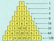 Figura 4 de Matematica · 9 EGB · 2025