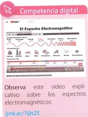 Figura 2 de Ciencias Naturales · 10 EGB · 2024