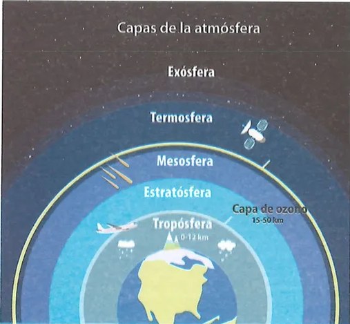 Figura 3 de Ciencias Naturales · 7 EGB · 2024