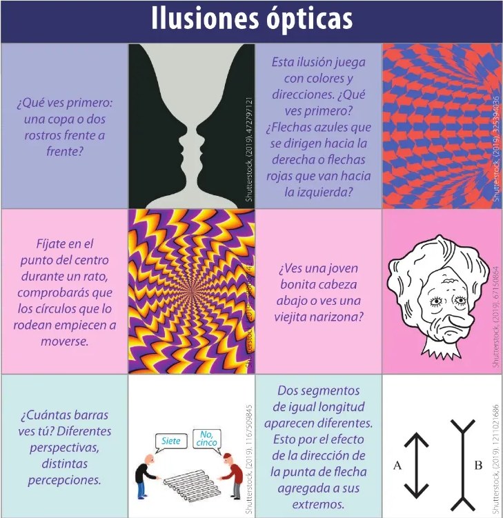 Figura 3 de Ciencias Naturales · 6 EGB · 2025