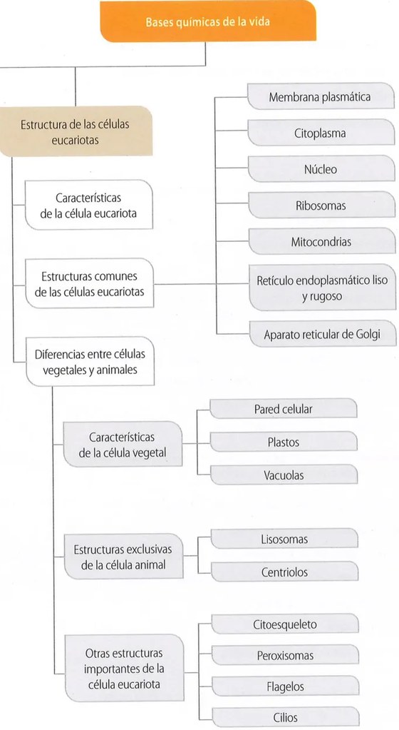 Figura 2 de Ciencias Naturales · 9 EGB · 2024