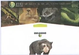 Figura 2 de Lengua Y Literatura · 10 EGB · 2025