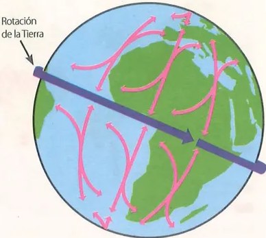 Figura 2 de Ciencias Naturales · 9 EGB · 2024