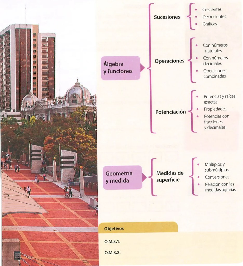 Figura 2 de Matematica · 7 EGB · 2024