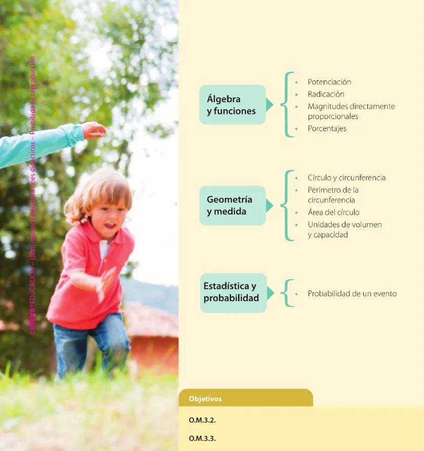 Figura 1 de Matematica · 6 EGB · 2025