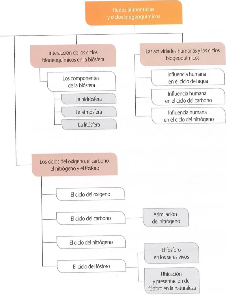 Figura 2 de Ciencias Naturales · 8 EGB · 2025