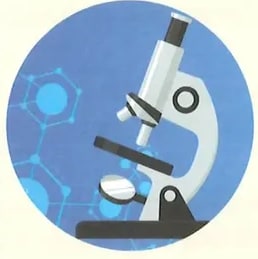 Figura 1 de Ciencias Naturales · 2 EGB · 2025