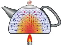 Figura 3 de Ciencias Naturales · 6 EGB · 2025