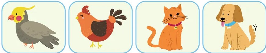 Ilustración de animales (mono, cabra, tortuga, cocodrilo) representando mascotas exóticas.